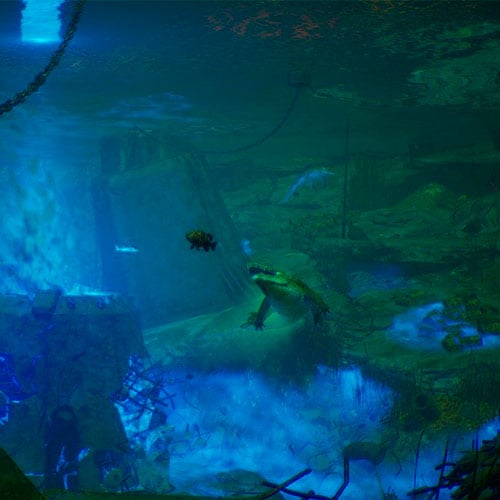 Maneater Day One Edition Cd Key Epic Games Europe